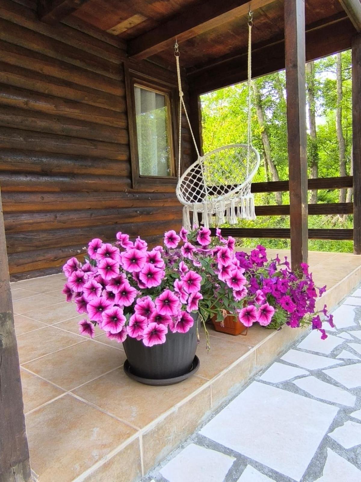 Villa Virpazar Raj Kod Kumova Chambre photo